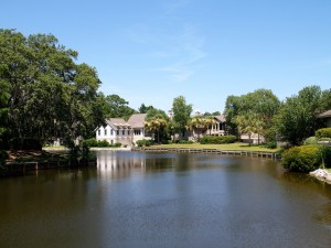 Another shot of the brackish lagoon.  Is lagoon the right term?